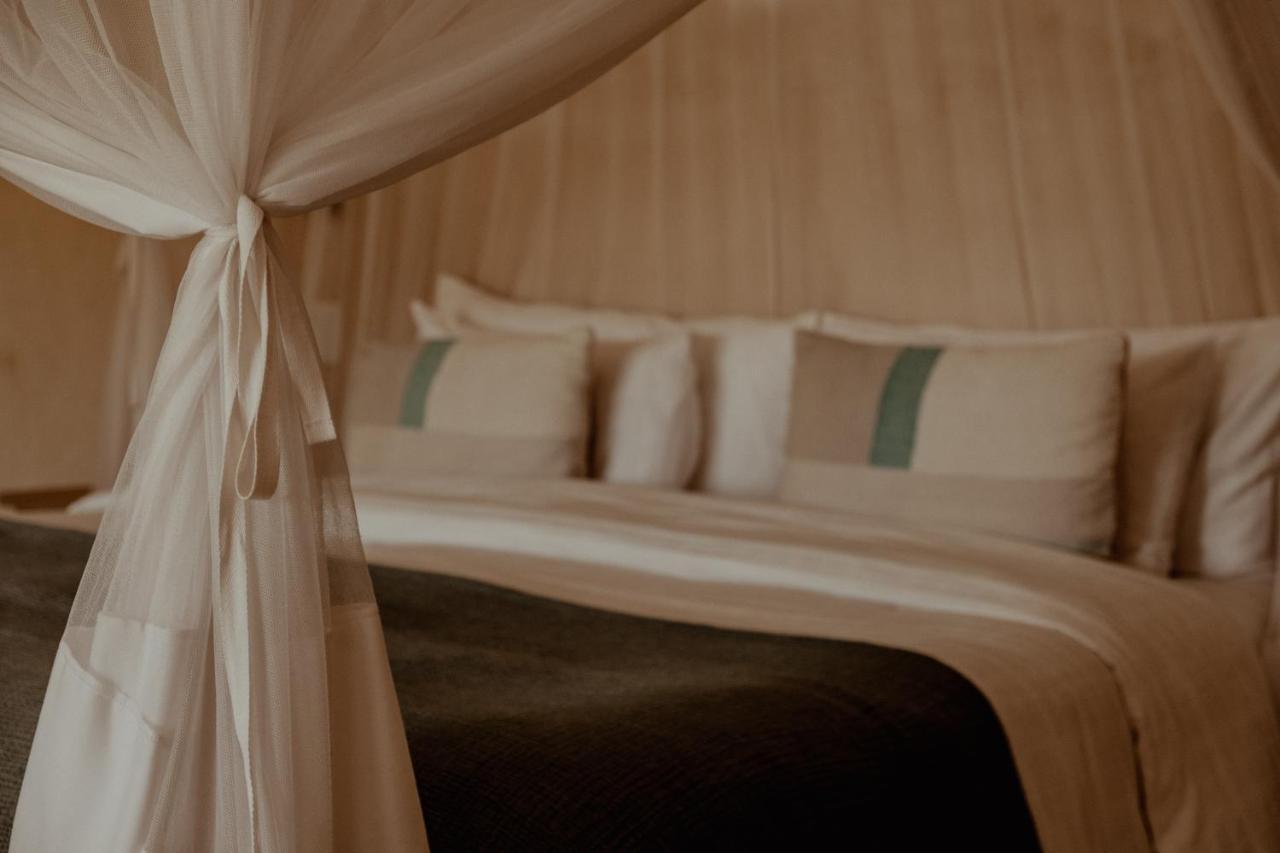 Hotel The Bean Tree McGregor Esterno foto